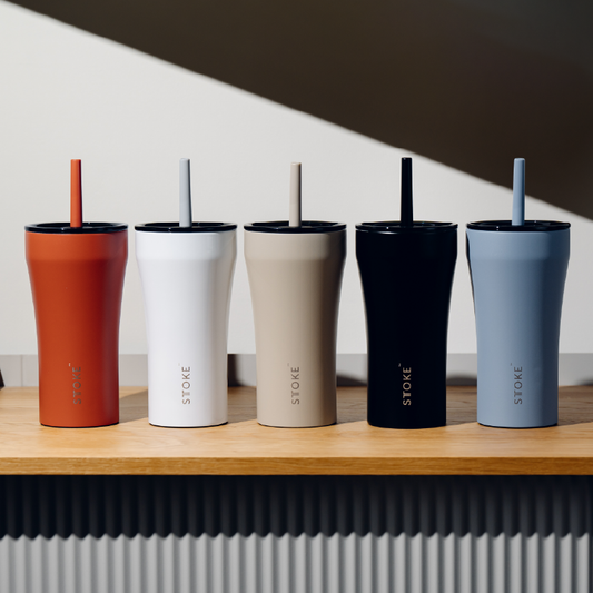 20oz Leakproof Straw Cup