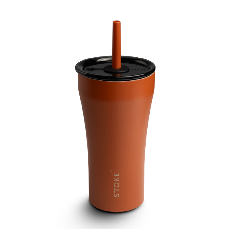 Desert Sunburst  | 20oz Leakproof Straw Cup