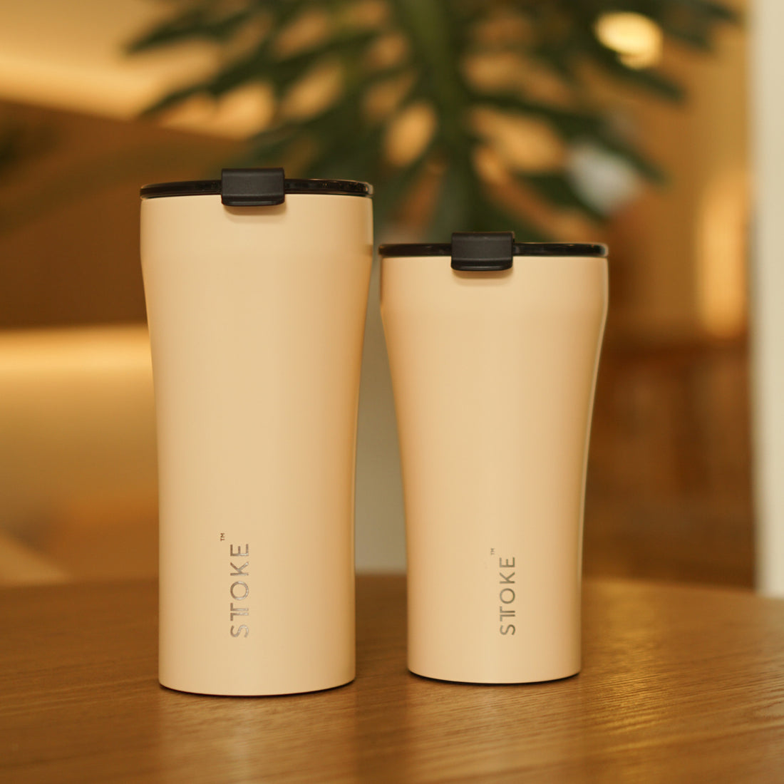 Ivory Chai | Seasonal Option