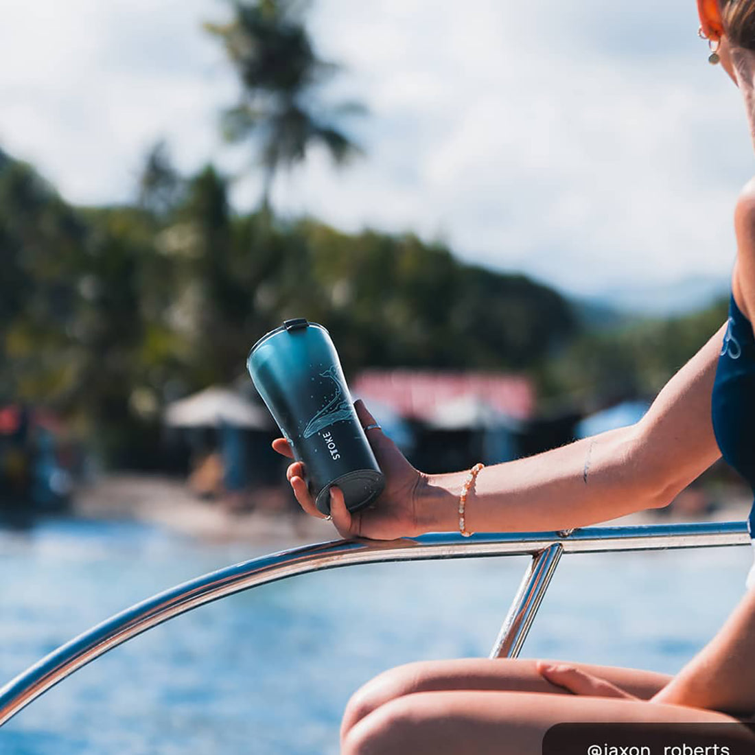 Whale | Ocean Series