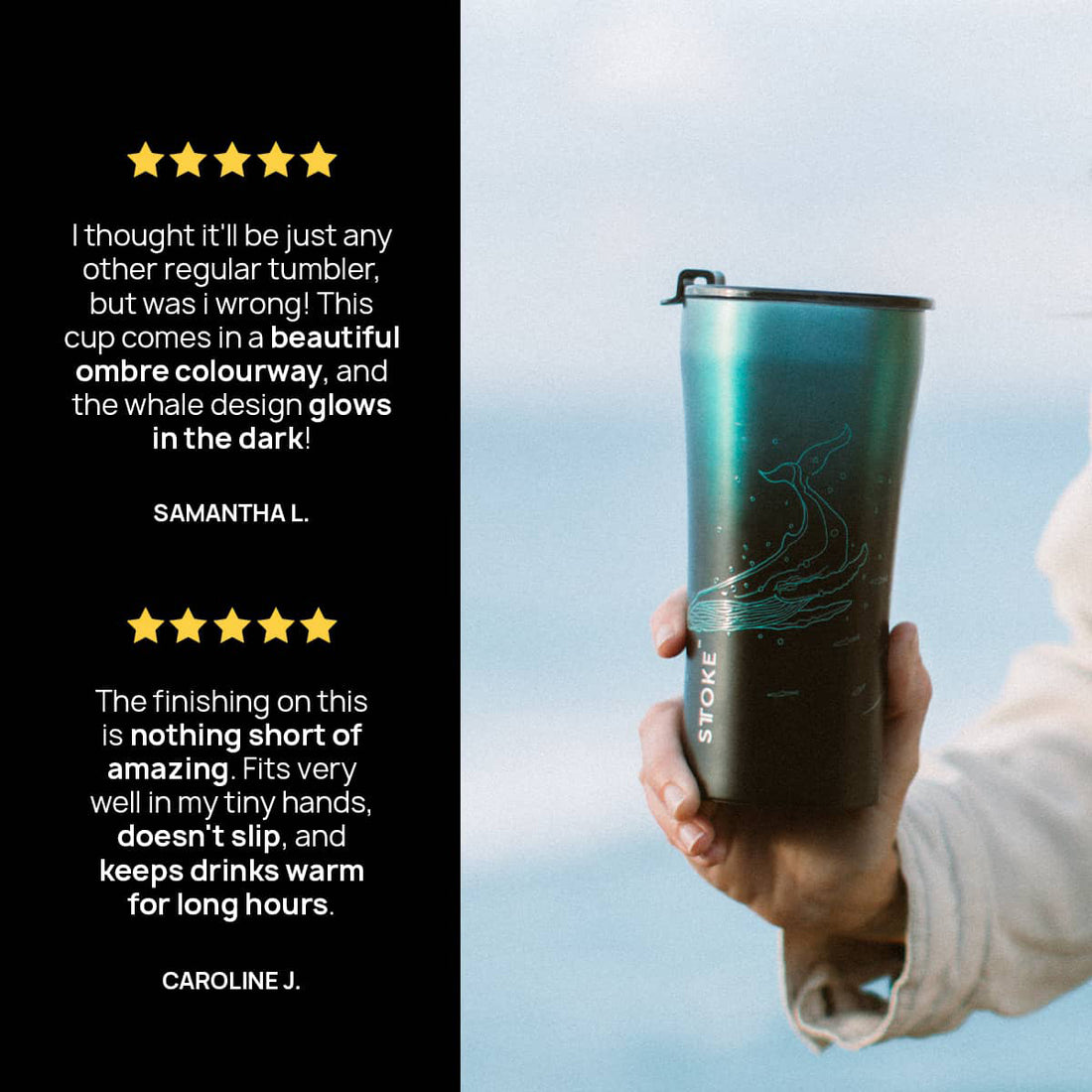 Turtle | Ocean Series