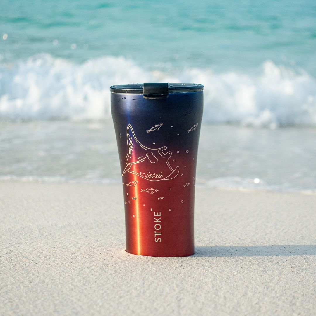 Manta Ray | 16oz cup New Ocean Series(Pre-order!Delivery schedule: early December)