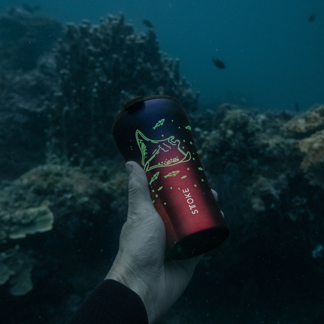 Manta Ray | 16oz cup New Ocean Series(Pre-order!Delivery schedule: early December)